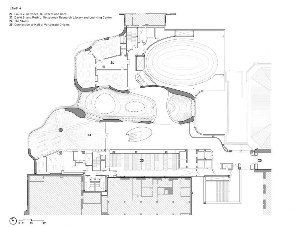 Richard Gilder Center AMNH