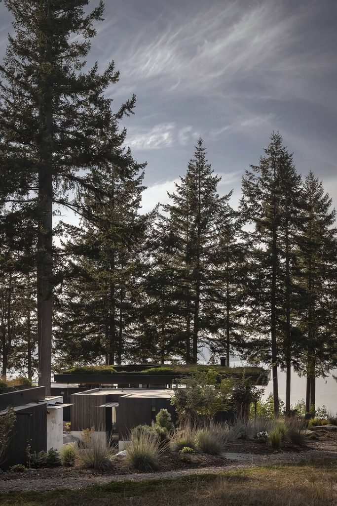 Longbranch Residence